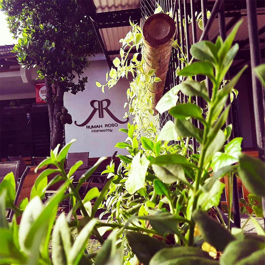Rumah Roso Homestay Yogyakarta Exterior foto
